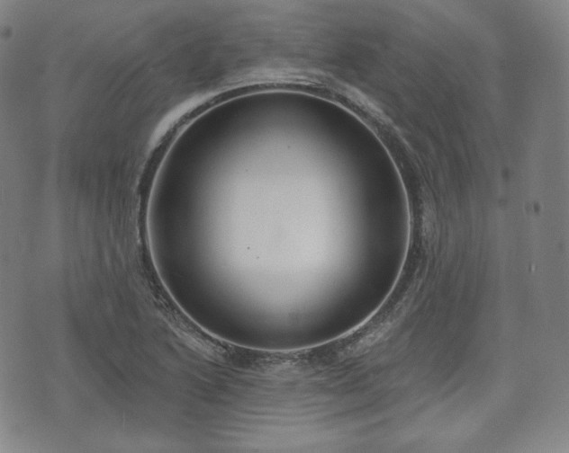 X0000071961222200607141426