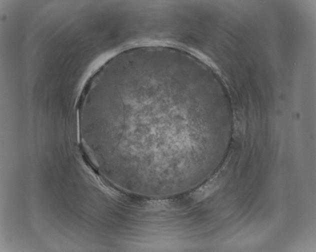 X0000071961223200607141426