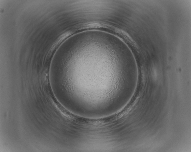 X0000071961225200607141426