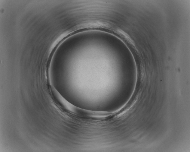 X0000071961226200607141426