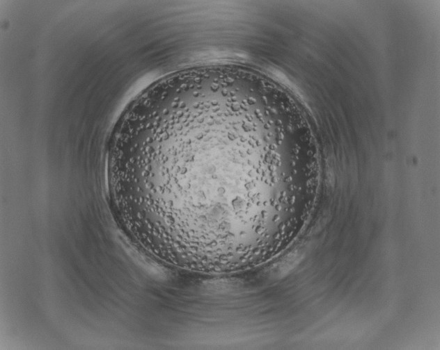 X0000071961227200607141426