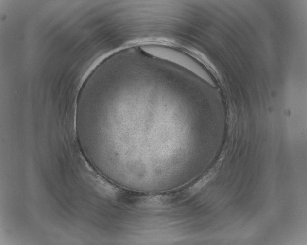 X0000071961228200607141426