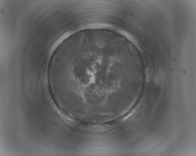 X0000071961229200607141426