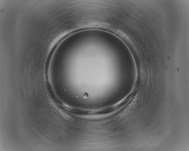 X0000071961230200607141426