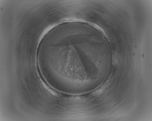 X0000071961231200607141426