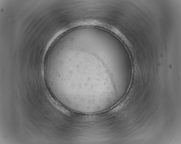 X0000071961232200607141426