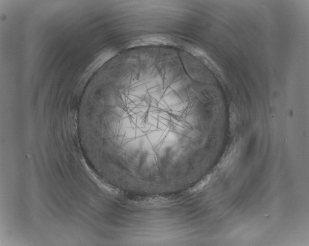 X0000071961233200607141426