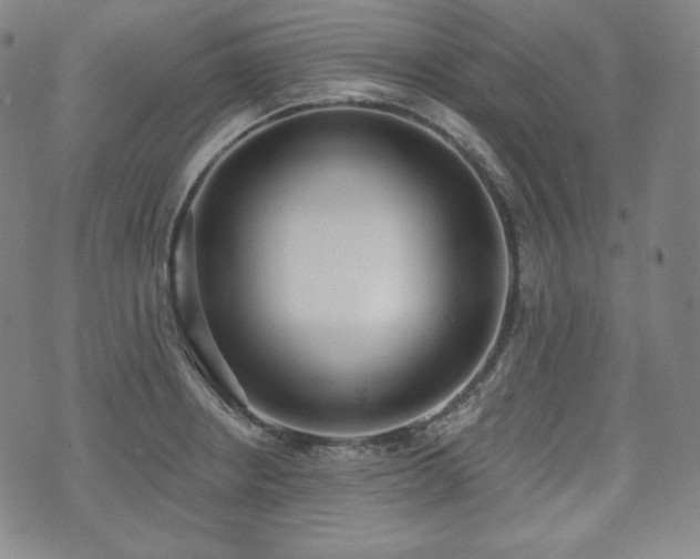 X0000071961234200607141426