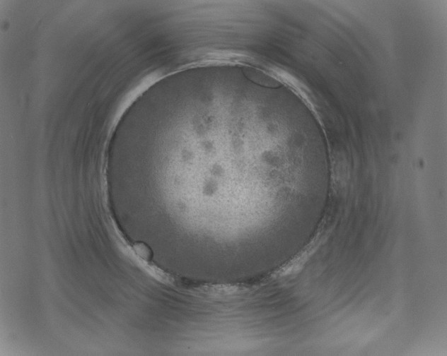 X0000071961235200607141426