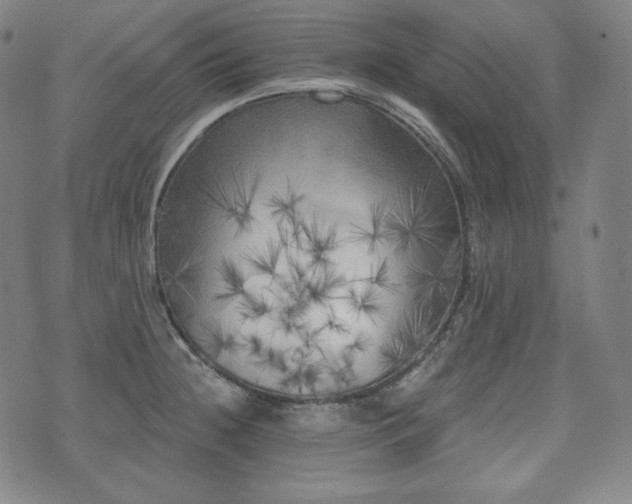 X0000071961236200607141426