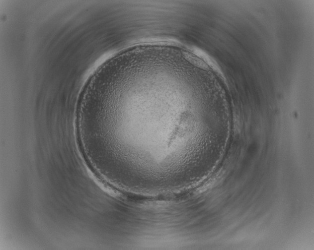 X0000071961237200607141426