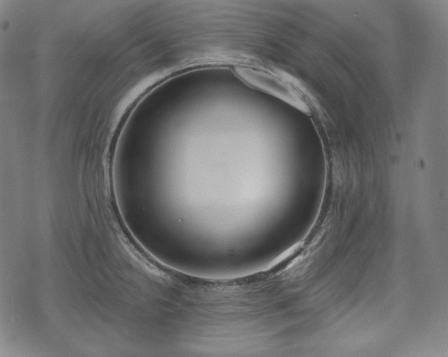 X0000071961238200607141426