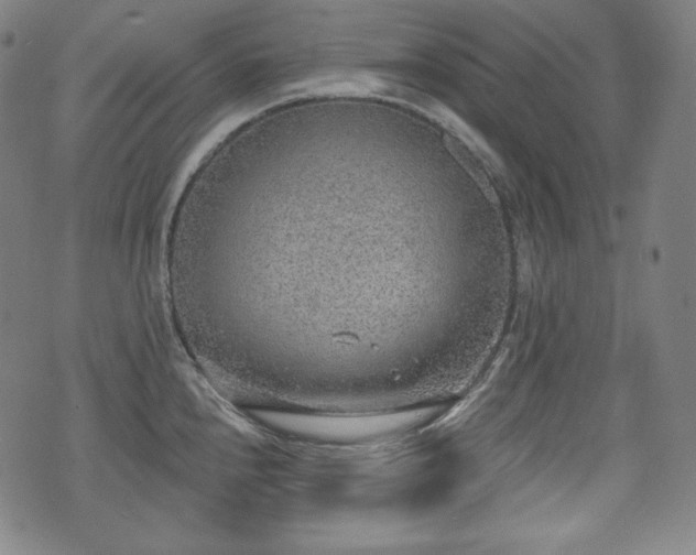 X0000071961240200607141426