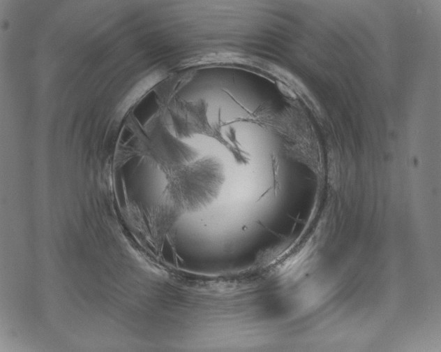 X0000071961241200607141426