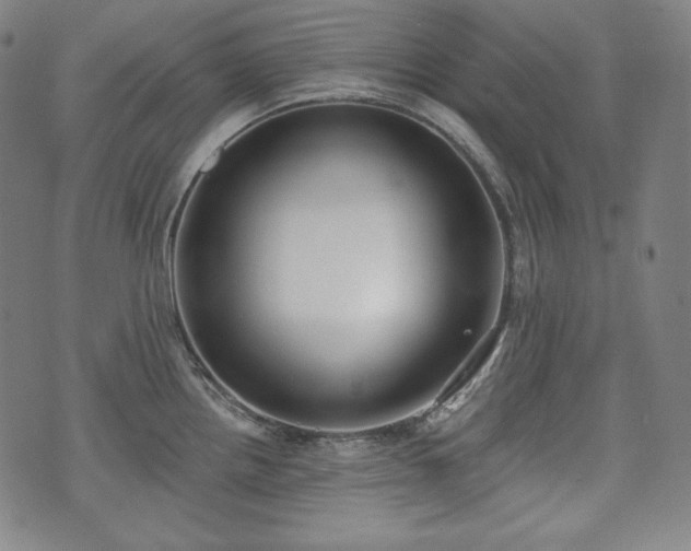 X0000071961242200607141426