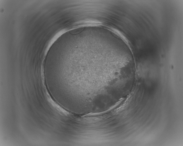 X0000071961243200607141426