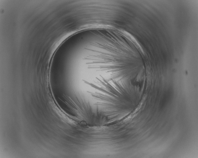 X0000071961244200607141426