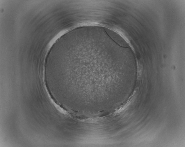 X0000071961245200607141426