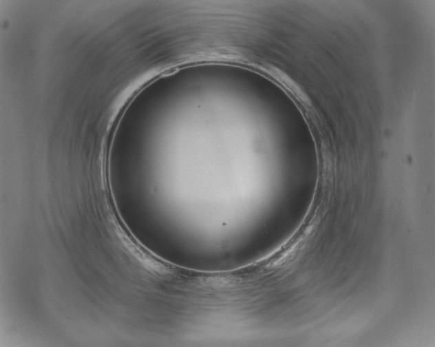 X0000071961246200607141426