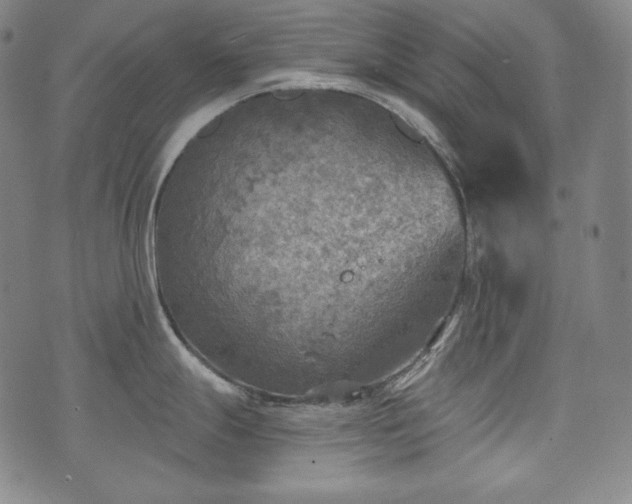 X0000071961247200607141426