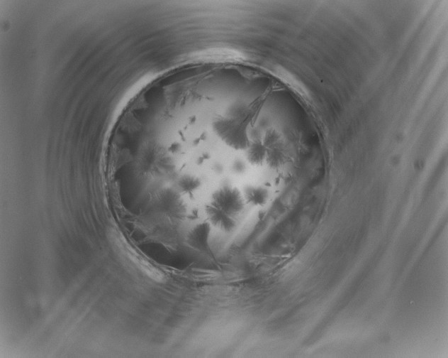 X0000071961248200607141426