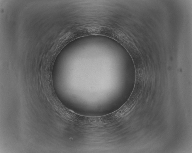 X0000071961249200607141426