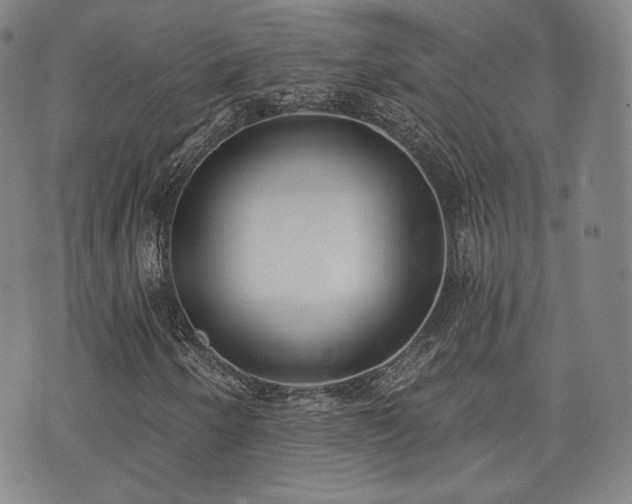 X0000071961250200607141426