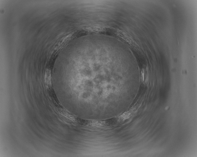 X0000071961251200607141426