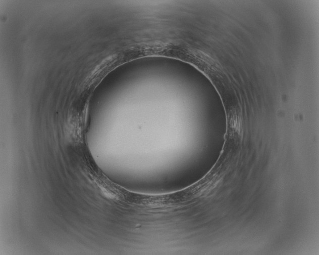 X0000071961252200607141426