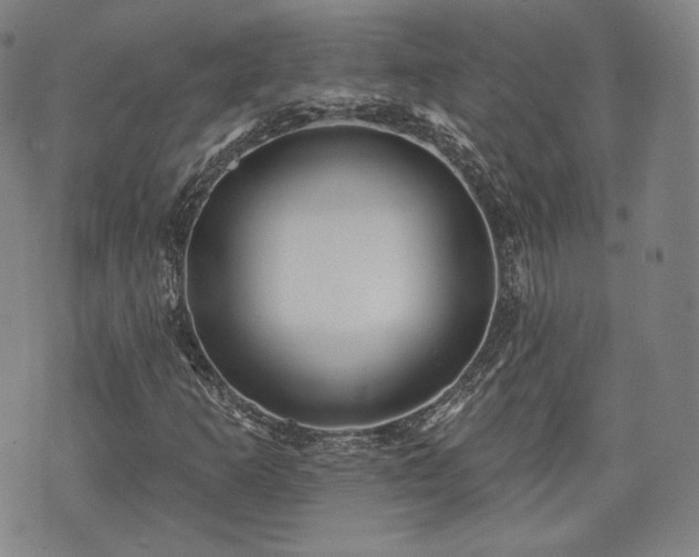 X0000071961253200607141425