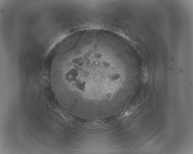 X0000071961255200607141425