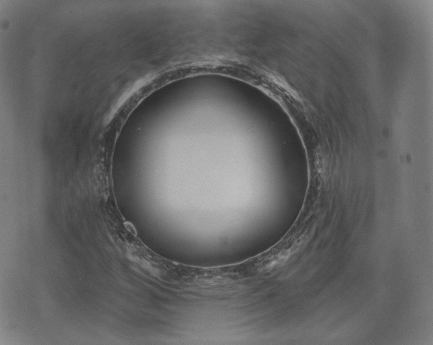 X0000071961256200607141425