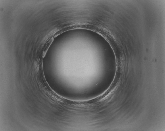 X0000071961257200607141425