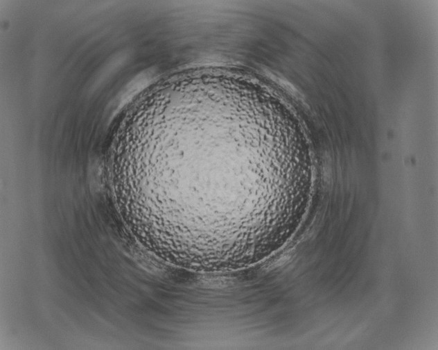 X0000071961258200607141425