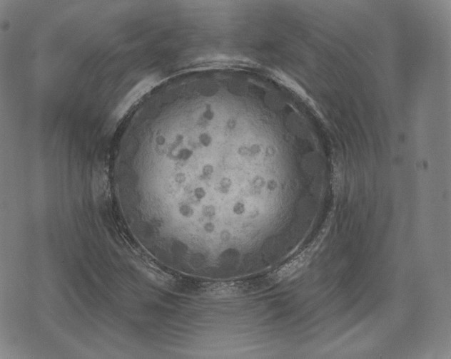 X0000071961259200607141425