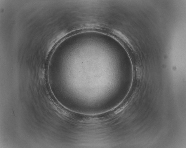 X0000071961260200607141425