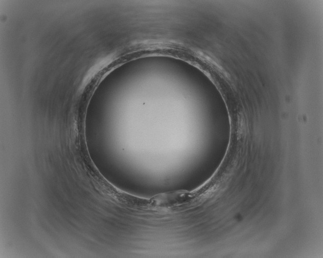 X0000071961261200607141425