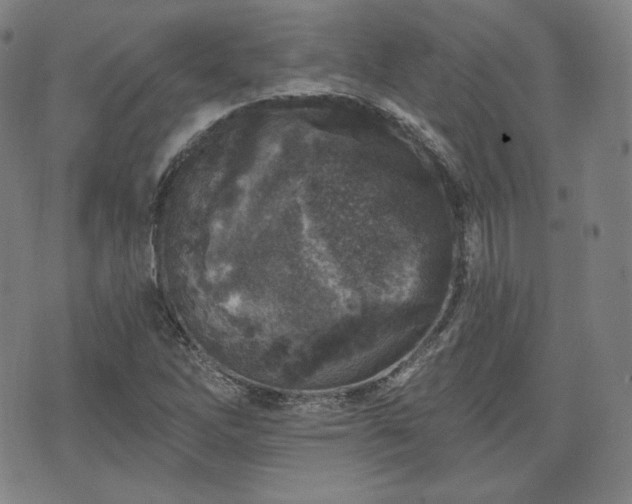 X0000071961262200607141425