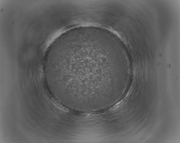 X0000071961263200607141425