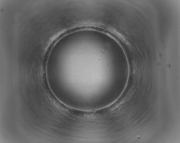 X0000071961264200607141425