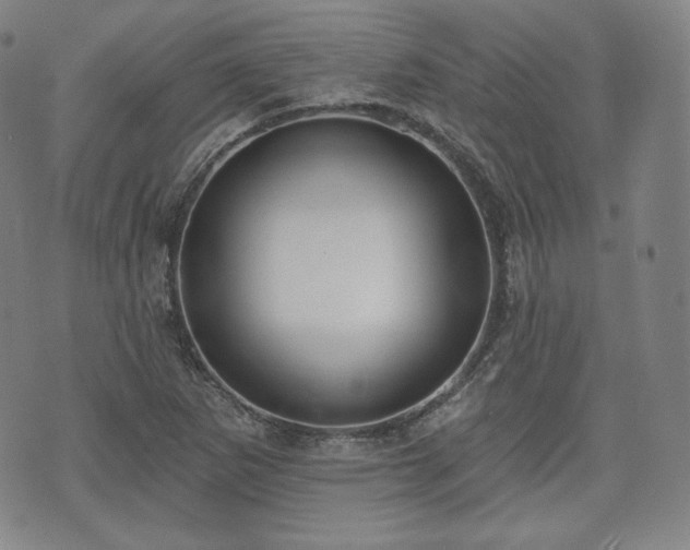 X0000071961265200607141425