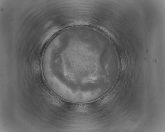 X0000071961266200607141425