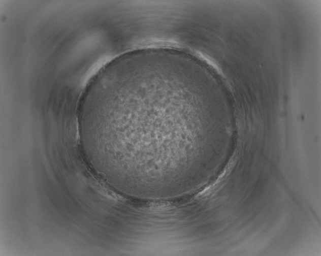 X0000071961267200607141425