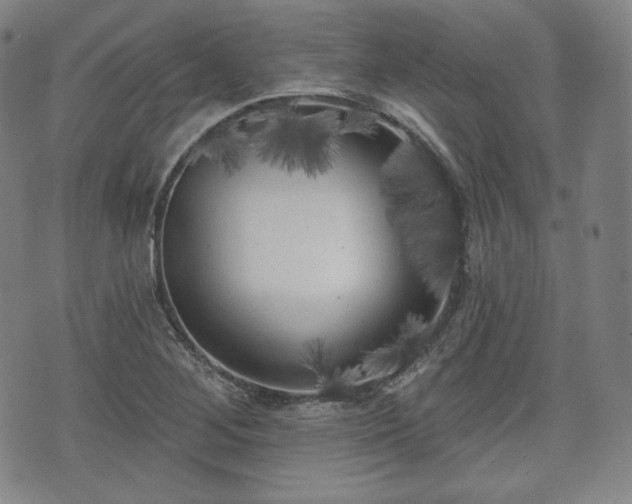 X0000071961268200607141425