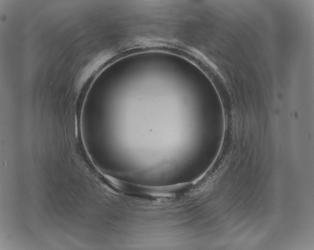 X0000071961269200607141425