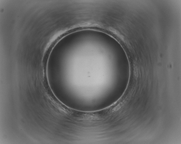 X0000071961270200607141425