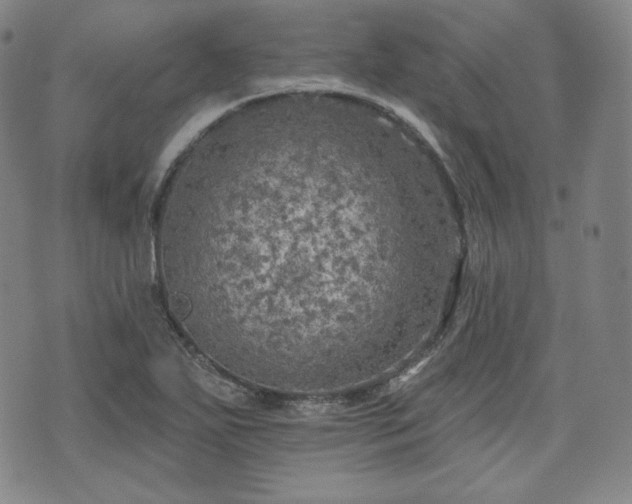 X0000071961271200607141425