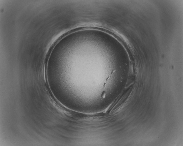 X0000071961272200607141425