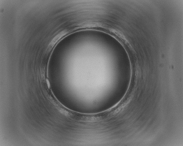 X0000071961273200607141425