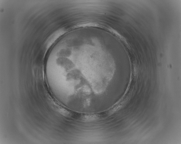 X0000071961274200607141425